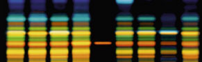 HIGH-PERFORMANCE-THIN-LAYER-CHROMATOGRAPHY-(HPTLC)